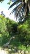 Mlini bei Dubrovnik - Bild