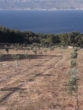 Anlage auf Brač – 34.000 m² mit Baugenehmigung - Bild