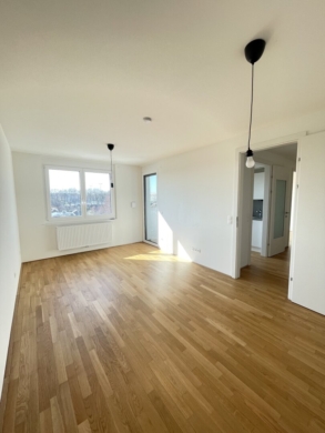 Helle Neubauwohnung in zentraler Lage! Loggia!, 1160 Wien, Wohnung