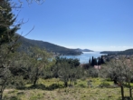 Bild - Dalmatinische Ruhe abseits von Dubrovnik