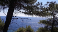 Bild - Mljet, Bauplatz im Nationalpark