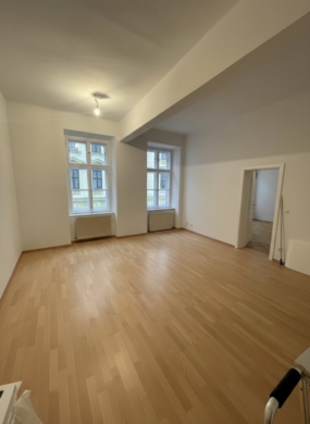 Helle Stil-Altbauwohnung in der Florianigasse! Ab sofort!, 1080 Wien,Josefstadt, Etagenwohnung